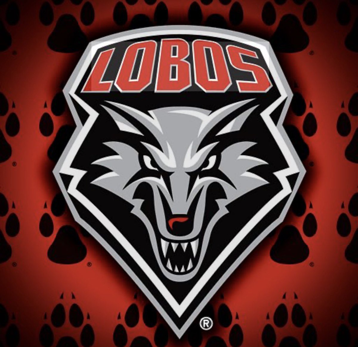 Cash Hollingshead tweet media