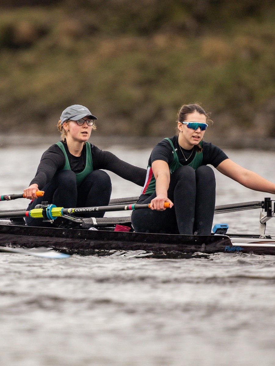 Matt Mole tweet media