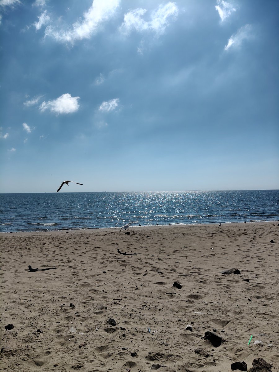 perlitaxan's tweet photo. A veces solo necesitamos un pedacito de mar, y ya. https://t.co/syQfbRA95g