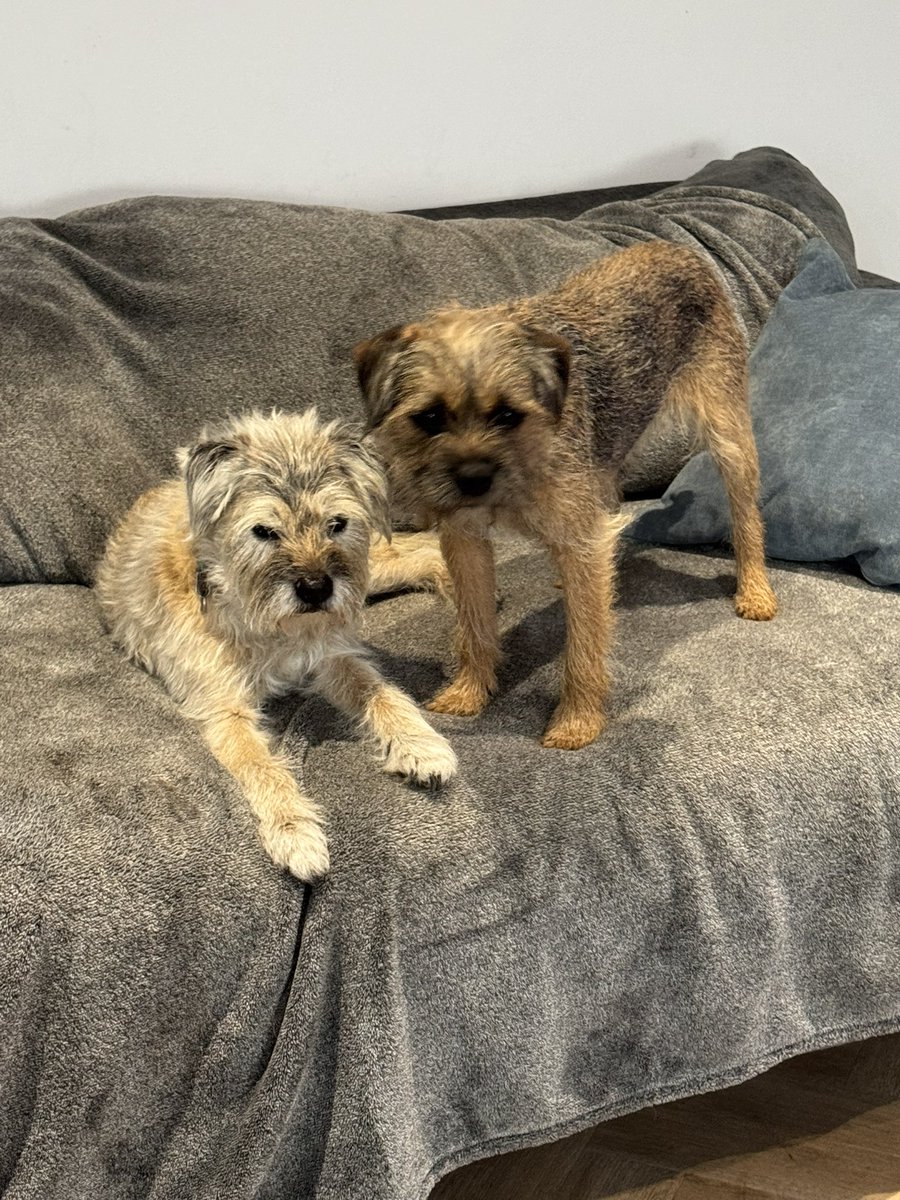 Aston&Molly(CJ&LennyBTs🌈) tweet media