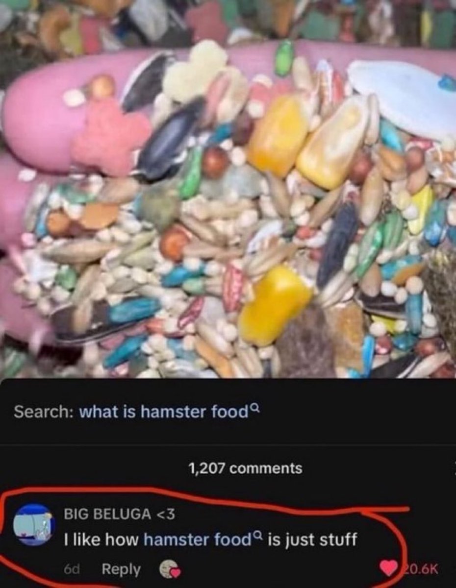 insane internet posts tweet media