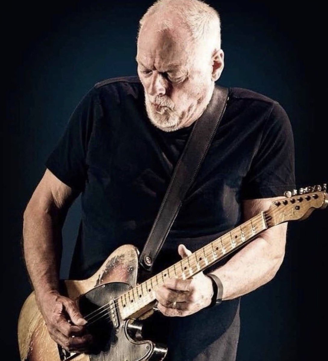 FloydGirl tweet media