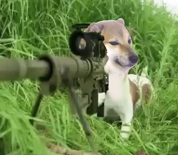 POV: you just called frogcheems "froge"