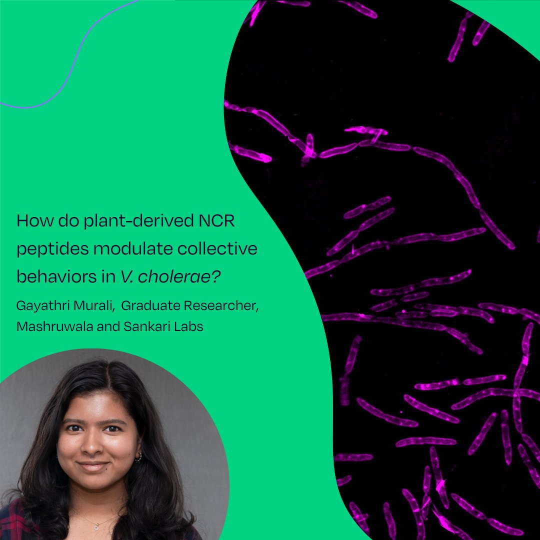 Stowers Institute tweet media