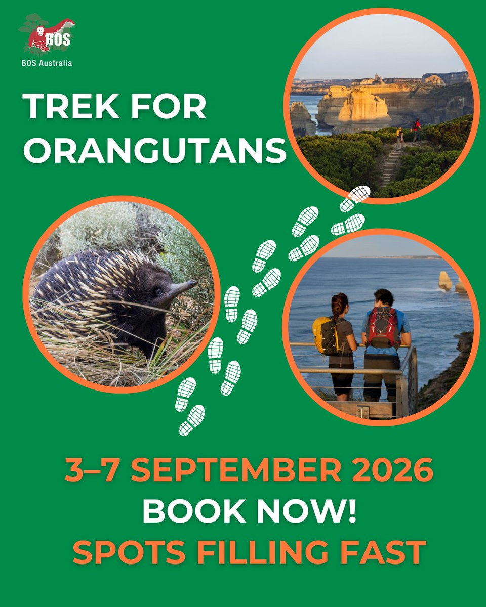 BOS Australia tweet media