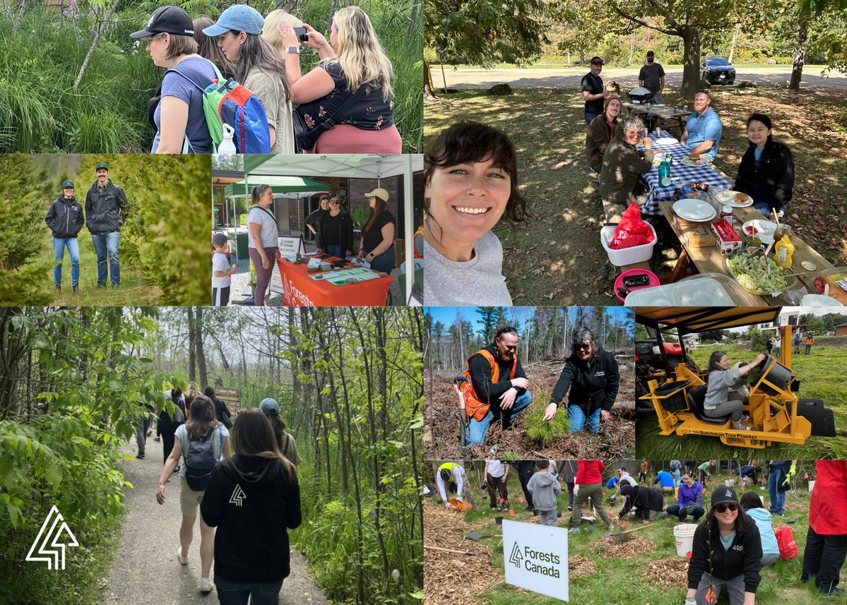 Forests Canada tweet media