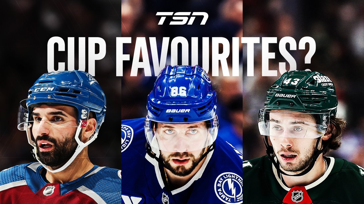TSN tweet media