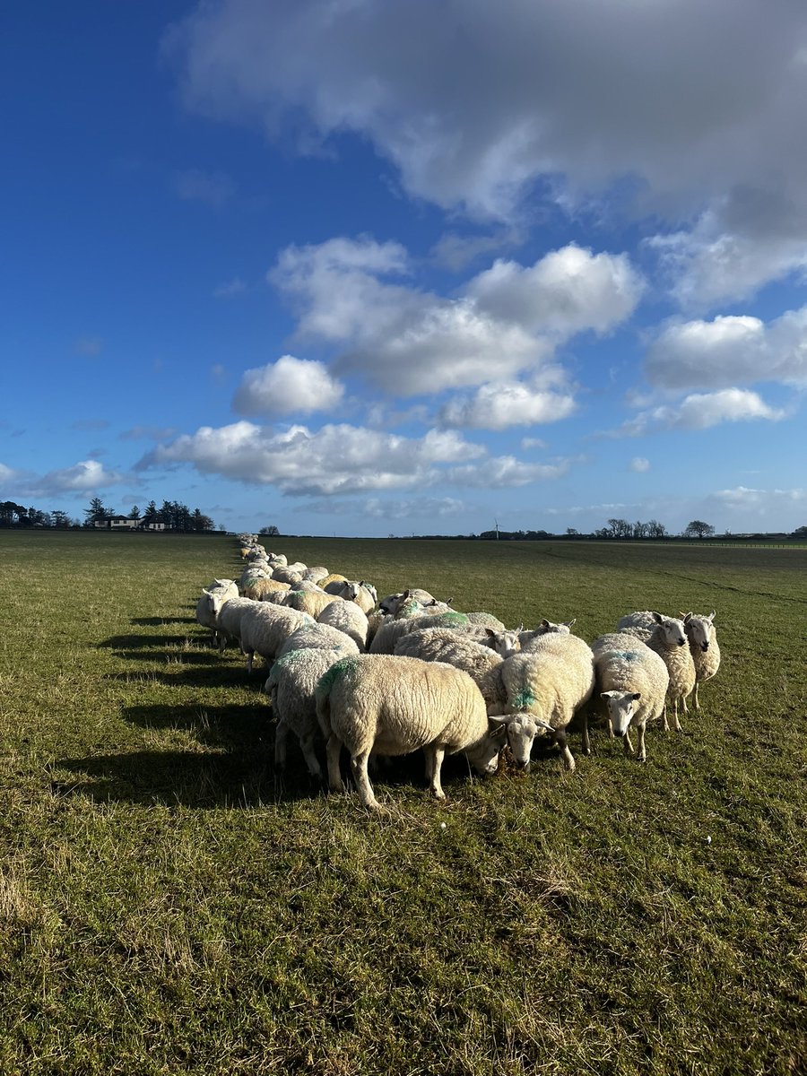 Balmonth Farm tweet media