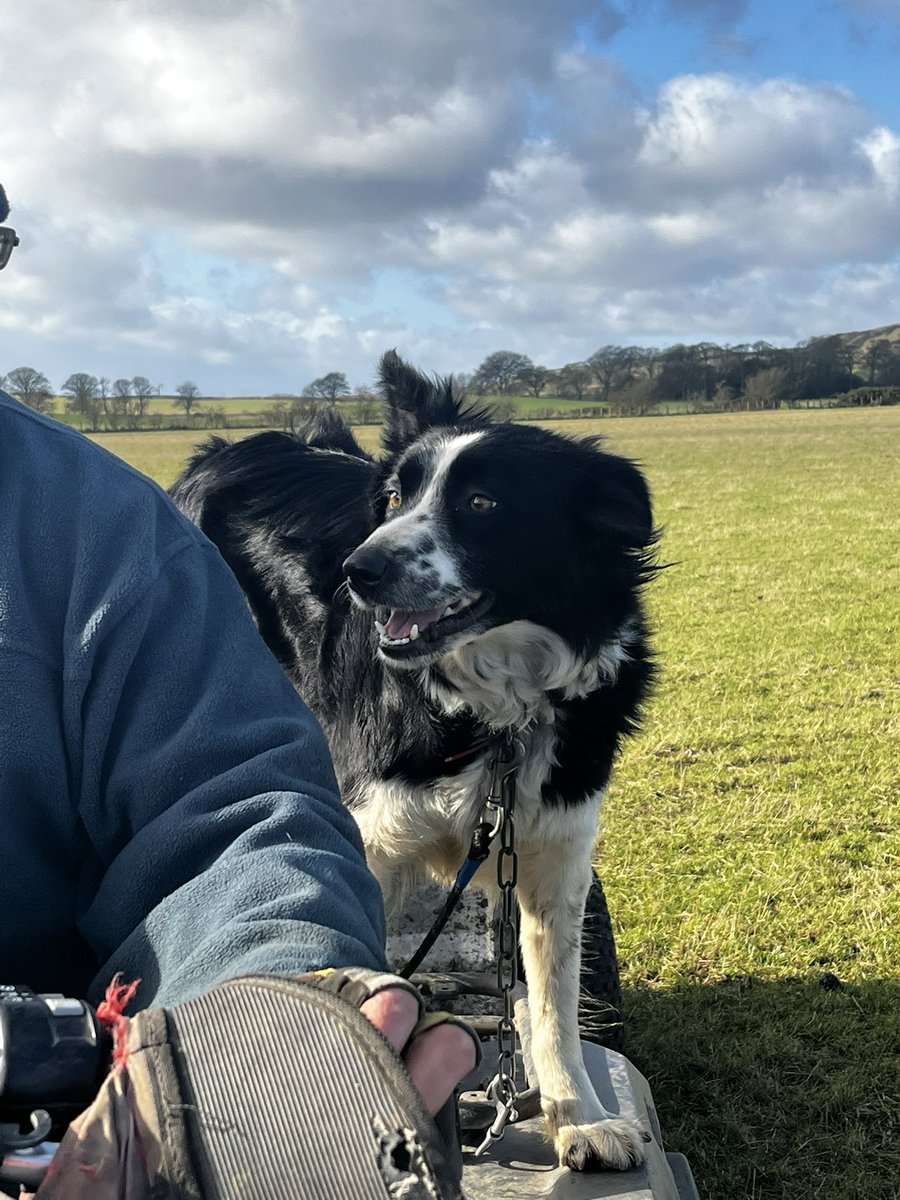 Balmonth Farm tweet media