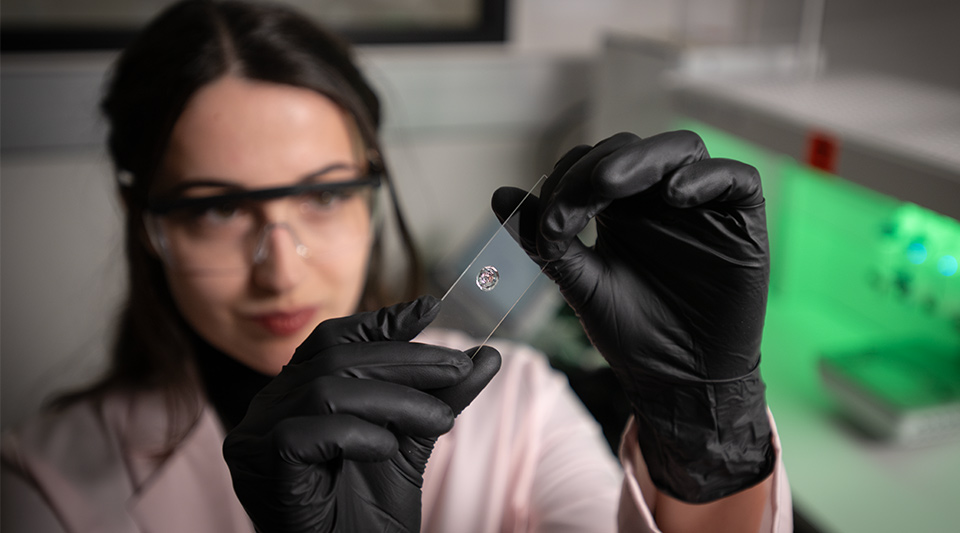 Notre Dame Bioengineering tweet media