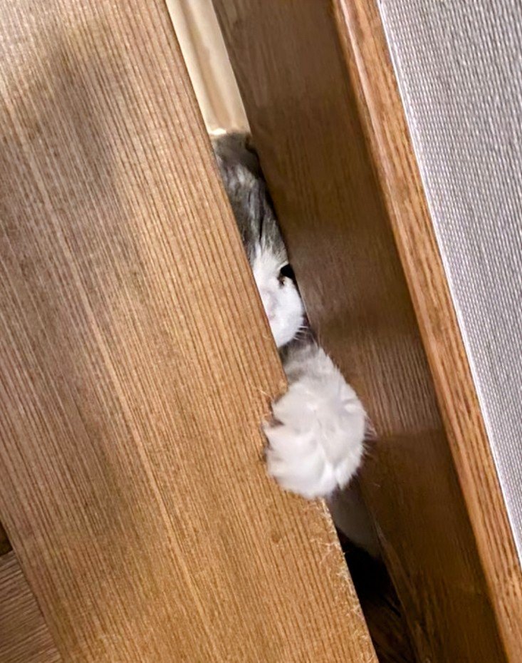 #自分が気に入ってる写真を1枚選んで無言で貼る