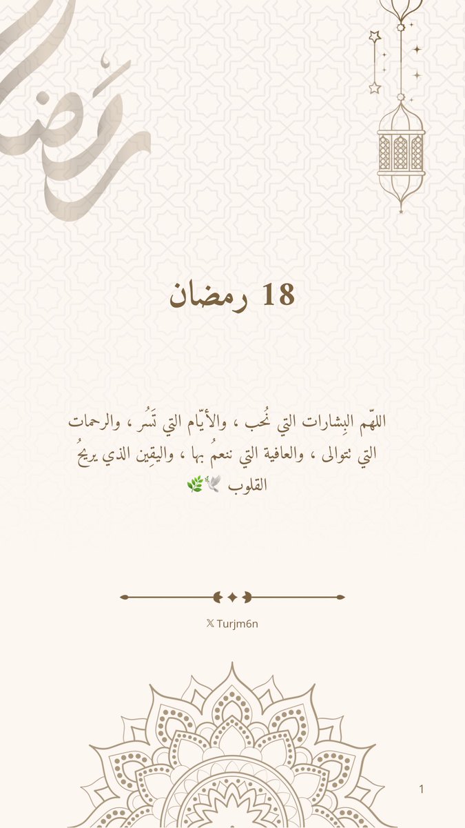 ترجمان | مصممة | tweet media