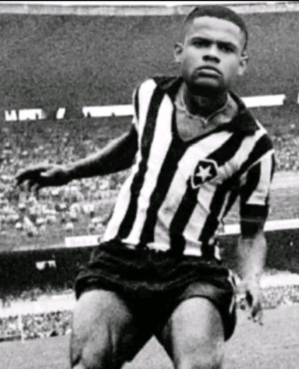 Diogo Barros ★彡 tweet media