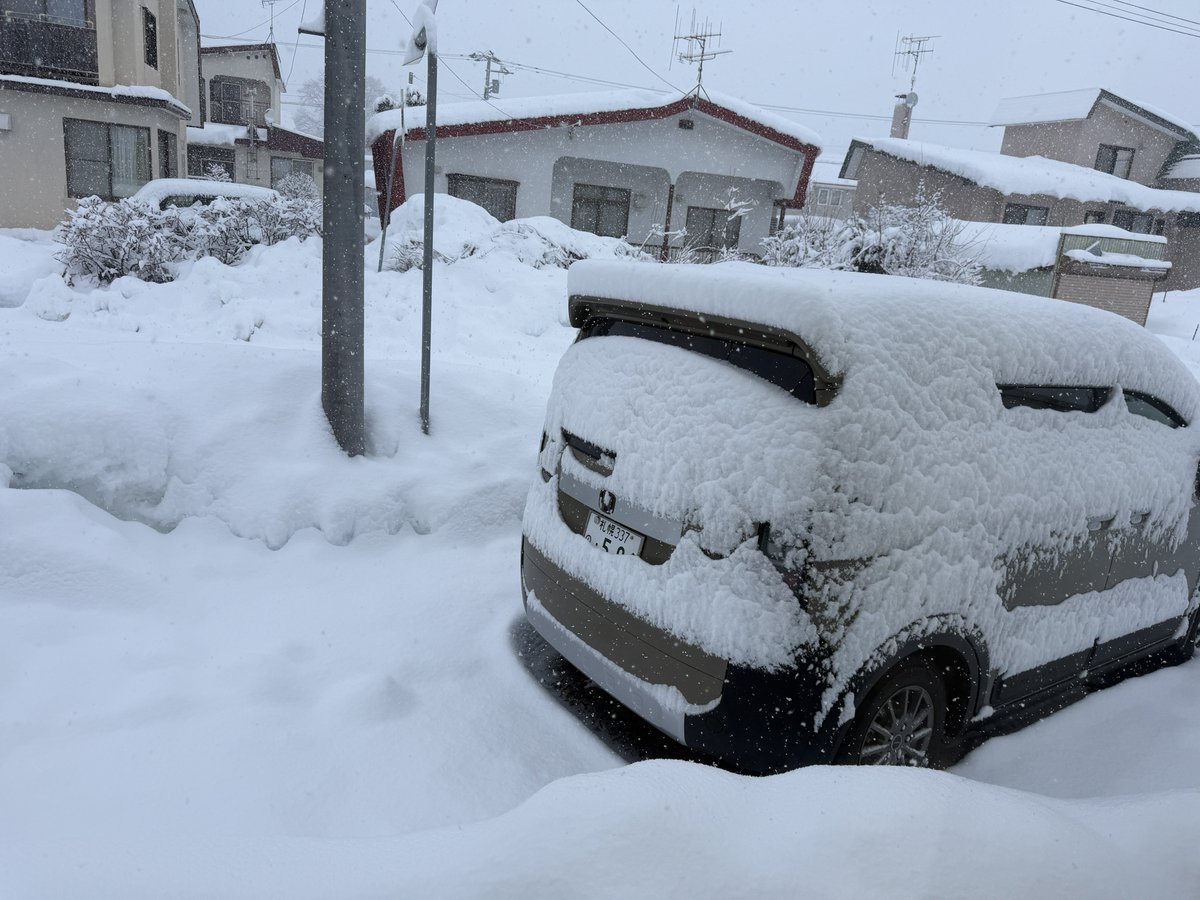 せんすん @SE1RAN🐸 tweet media