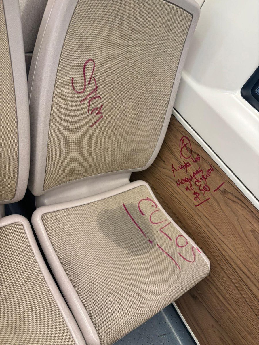 lady bird tweet media