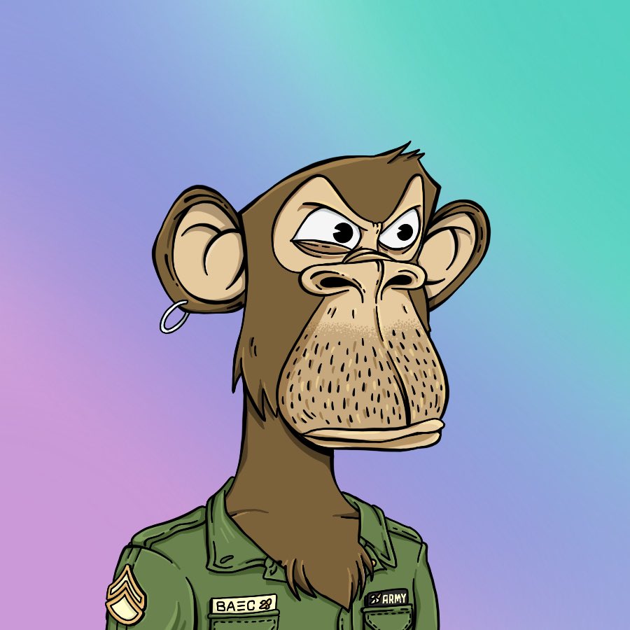 Blubbies tweet media