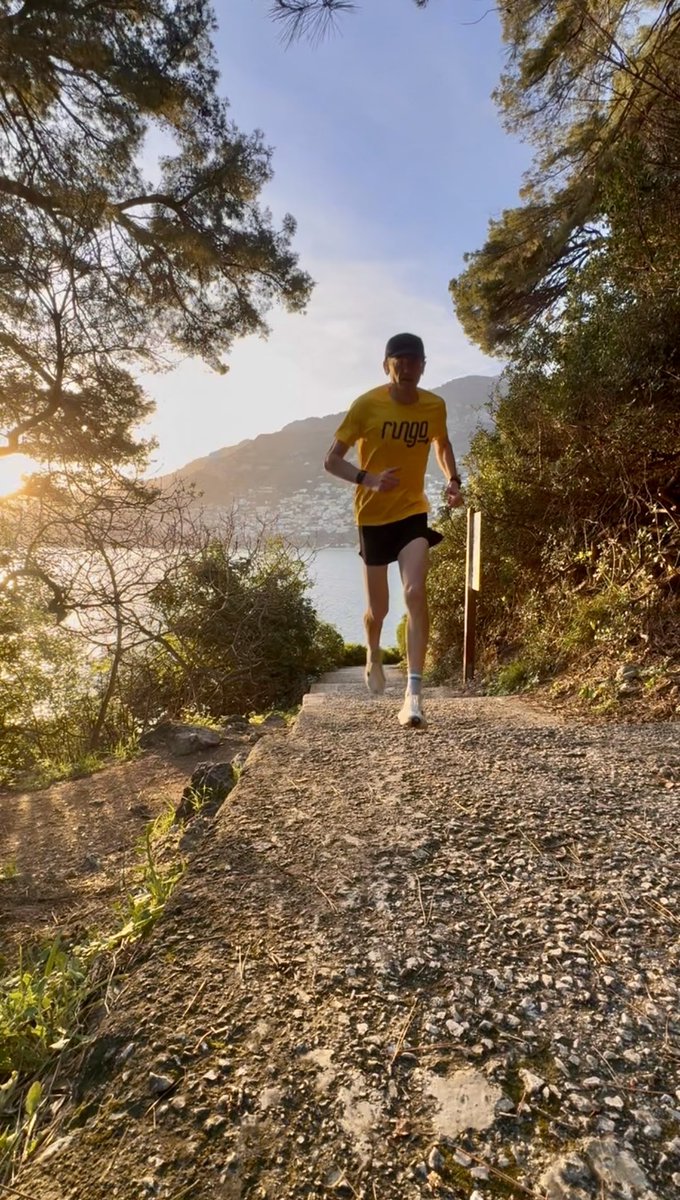 Noah Bloom tweet media