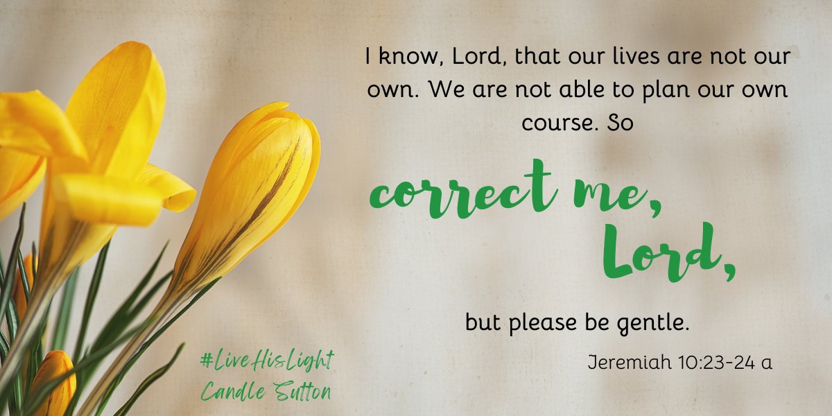 Candle Sutton tweet media