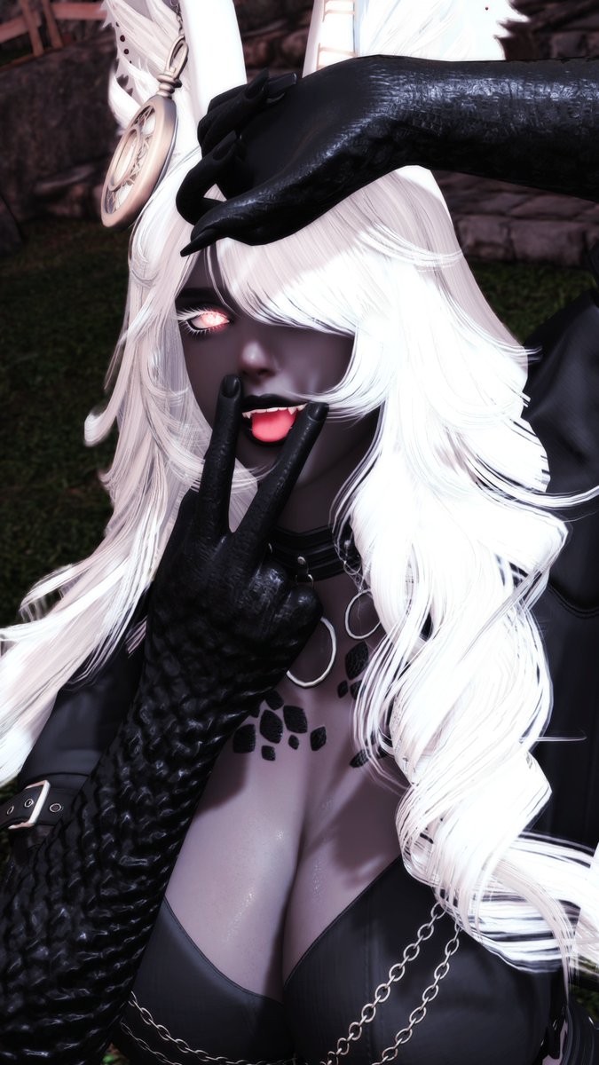 Certain Gray Bun🔞 tweet media