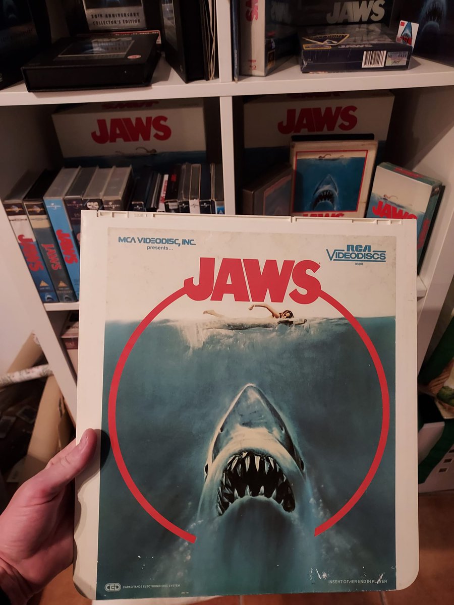 The Daily Jaws tweet media