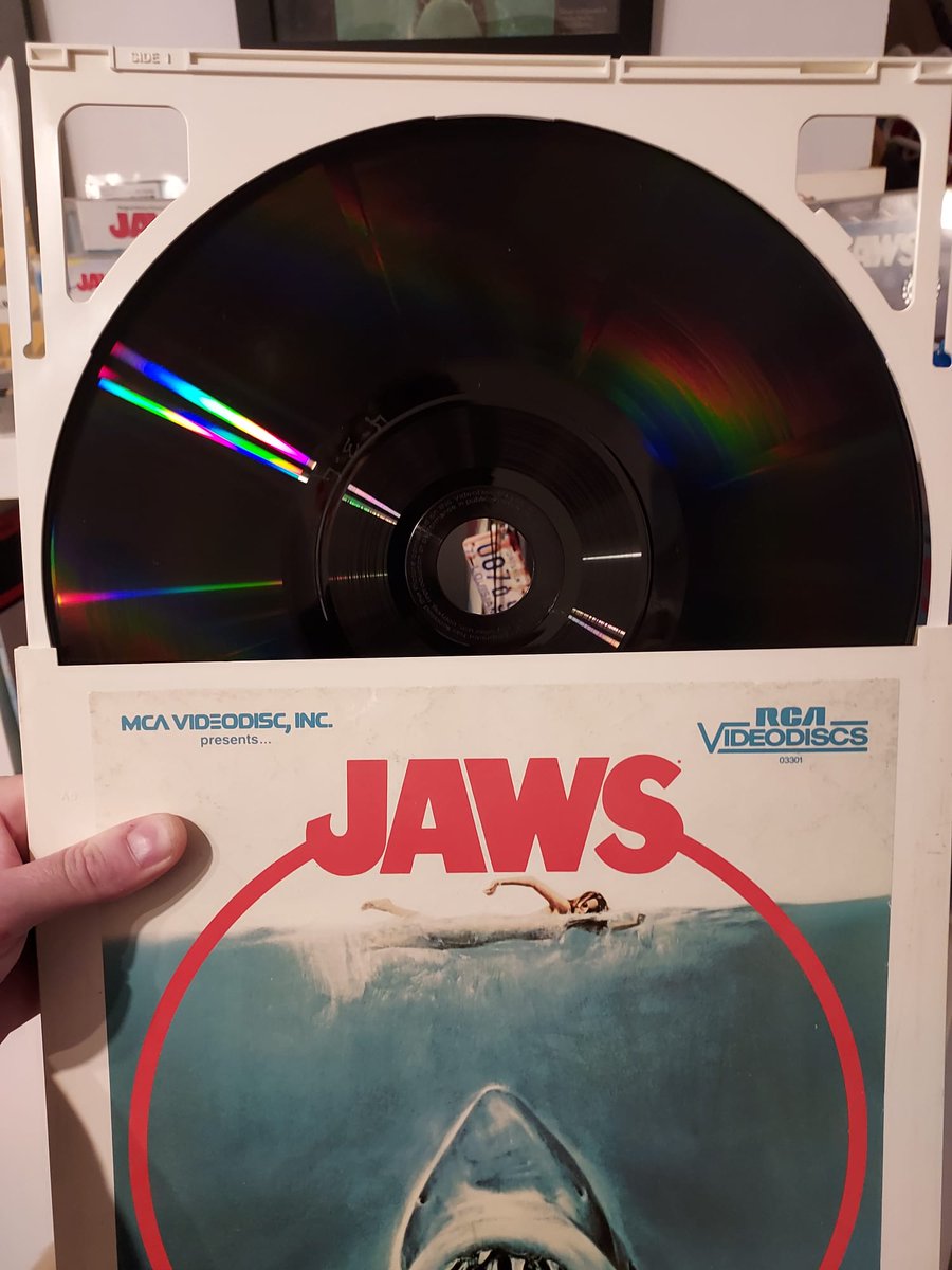 The Daily Jaws tweet media