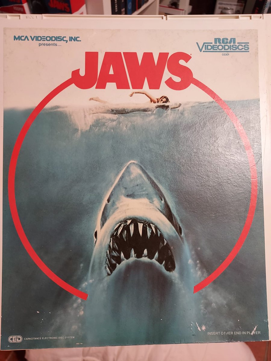The Daily Jaws tweet media