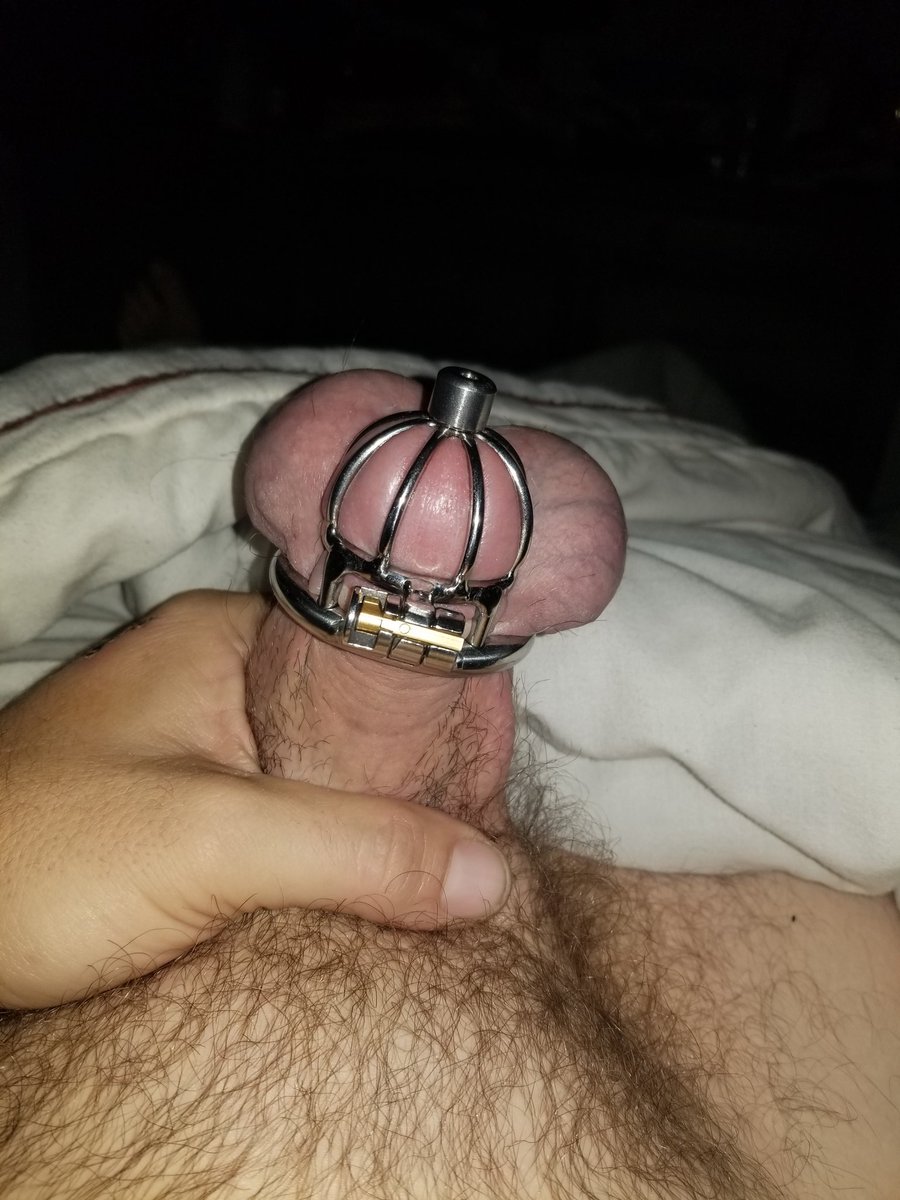 FreakyMilf85's tweet photo. @510polyhouse https://t.co/PZZWNKxdIR