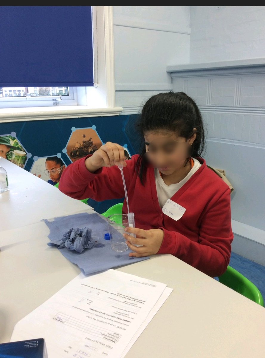 Ray Lodge Primary School (Strive 4 Academy Trust) tweet media