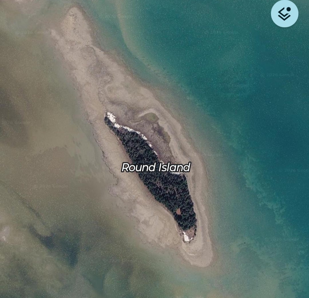 🪓BK🪢 tweet media