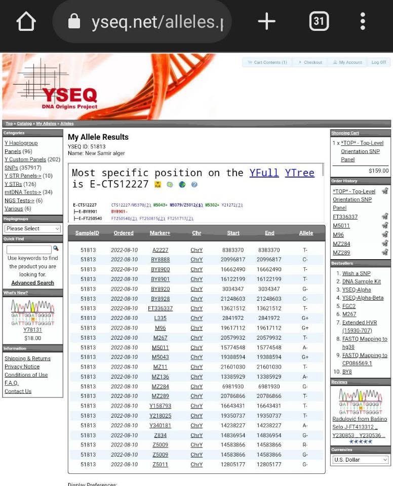 العامري هلالي جزائري tweet media