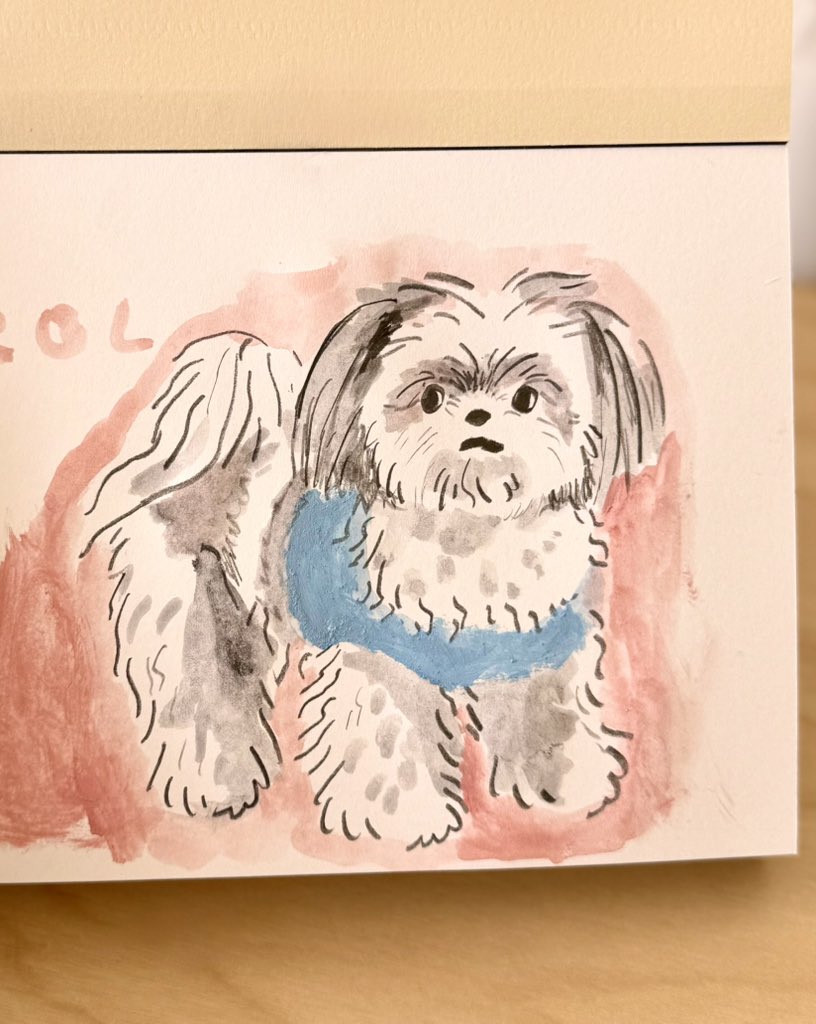 potzkun's tweet photo. 🐶 https://t.co/op4EhkSiUM