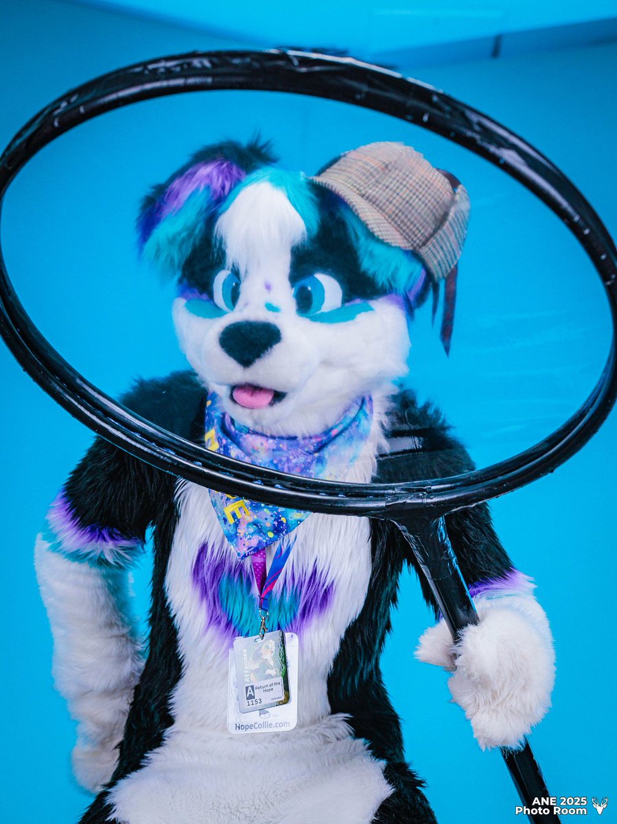 Hope Collie tweet media