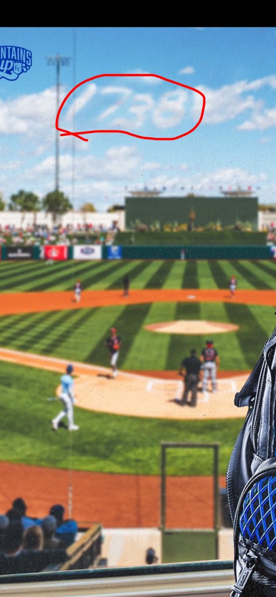 Move the Rays to tampa tweet media