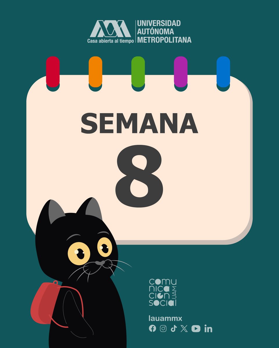 lauammx's tweet photo. 🗓��� ¡Ya estás en la recta final! #Semana8 de actividades

📣 ¡Éxito panteras!

#SoyUAM #CalendarioUAM 
#UAMInforma #SomosUAM https://t.co/4CZqEtmx97