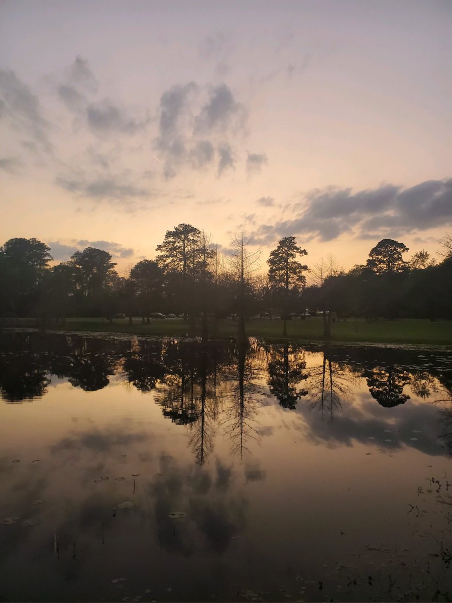 Amy Lawrence tweet media