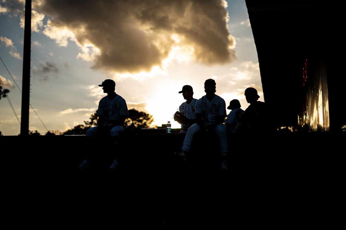 Southern Miss Baseball tweet media