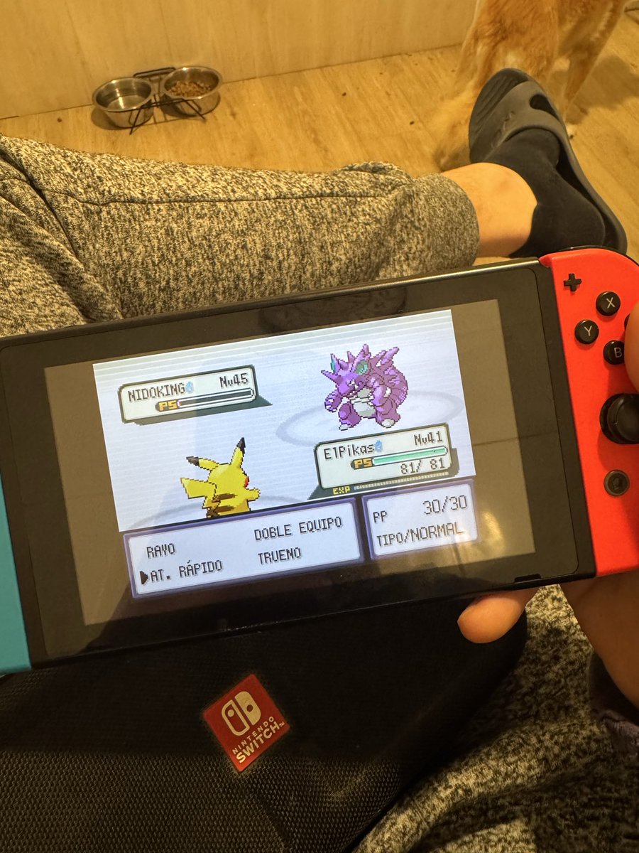 Última medalla ganada, entre todos hemos podido ganar a ese mafioso italiano, acabando con ElPikas el combate de forma épica, ahora a por la liga Pokemon, vamos a tope!!! 💪🏻💪🏻