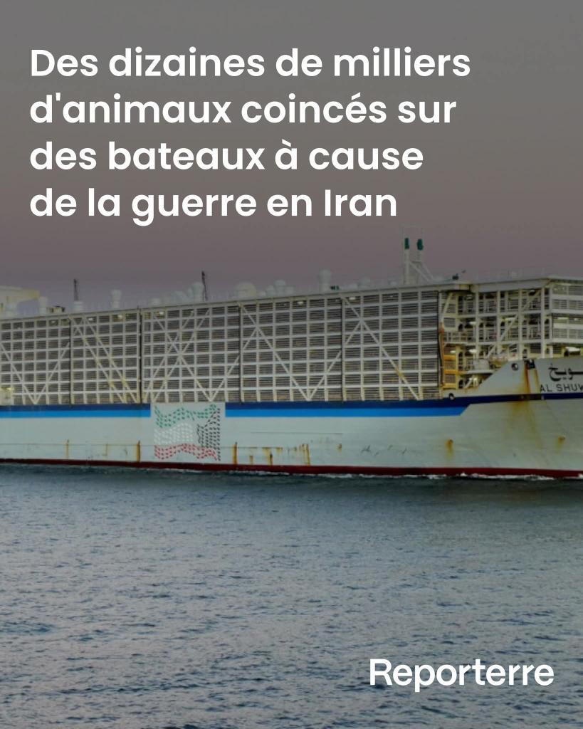 Adea Claude tweet media