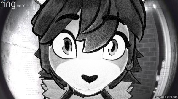 ohmi ☰・ᴥ・☰ tweet media