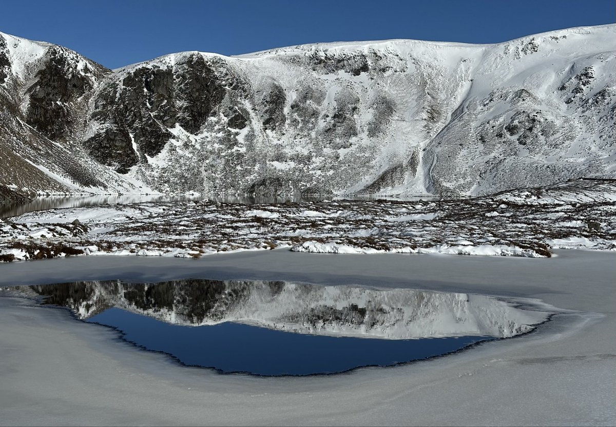 Munro Moonwalker tweet media