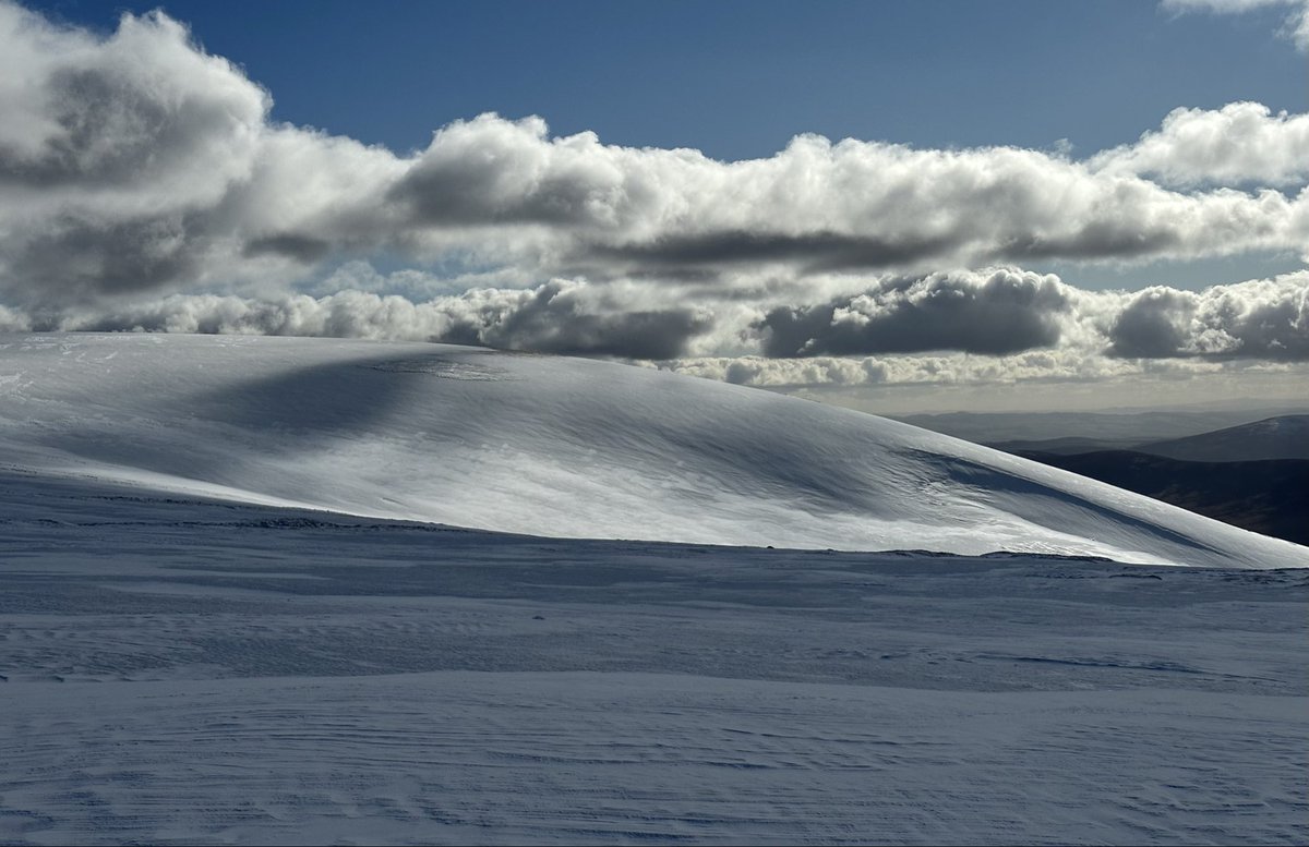 Munro Moonwalker tweet media