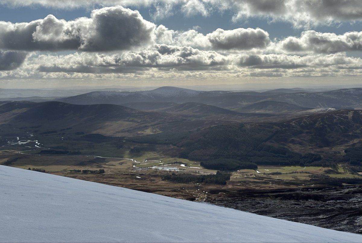 Munro Moonwalker tweet media