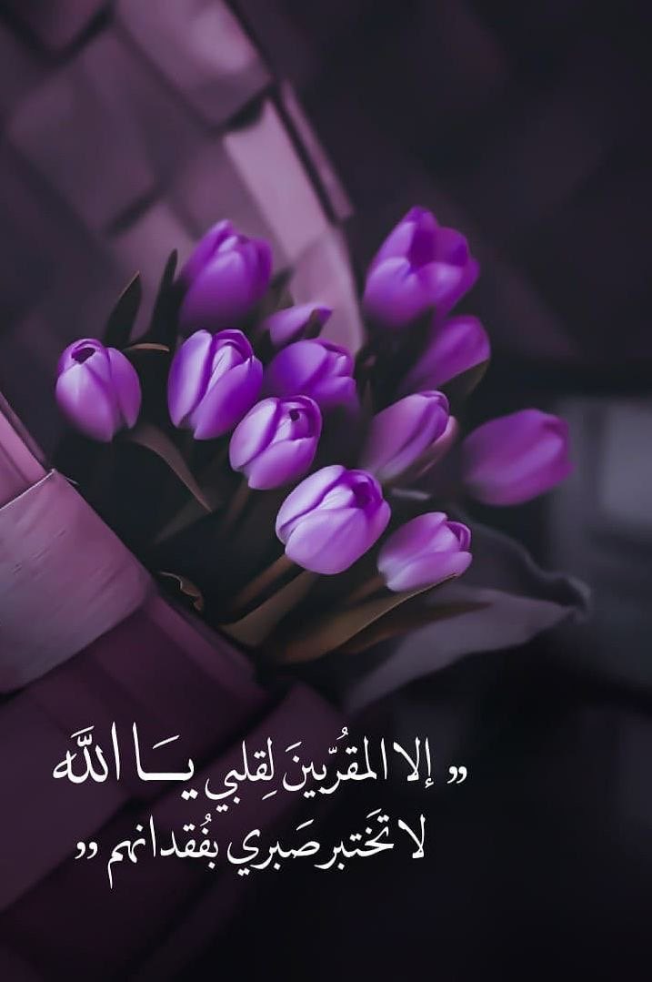 أسأل الله أن يعطينا نفوساً راضية
 و صدوراً من الهم خاليه و قلوبا 
بحبه و حب نبيه ﷺ صافيه و ان 
يجعل هذا المساء مساء خير لي و لكم جميعاً ..