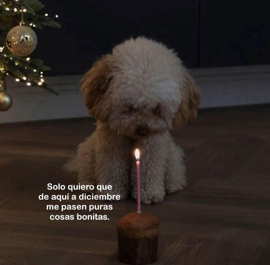 Salvador Iglesias Jr (@javisness) on Twitter photo 