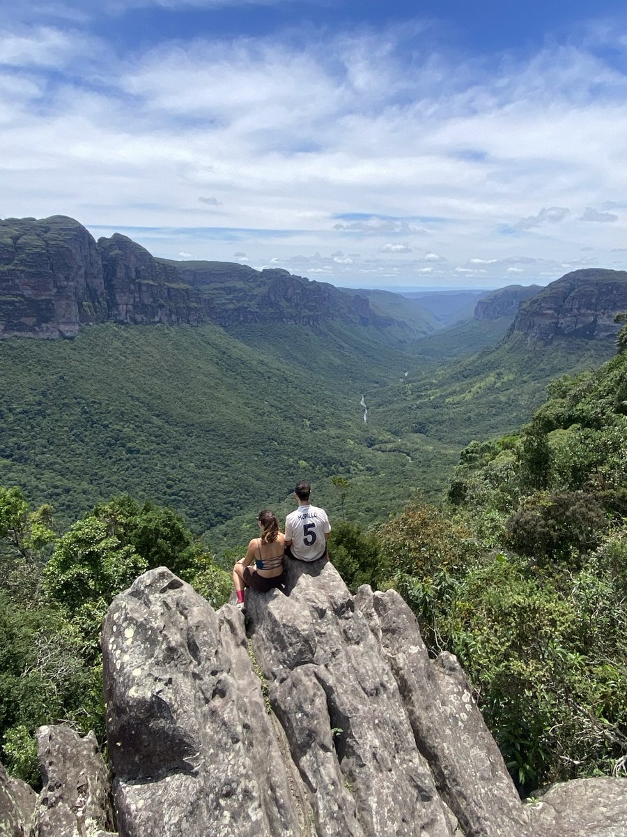 Bengel.Bart tweet media