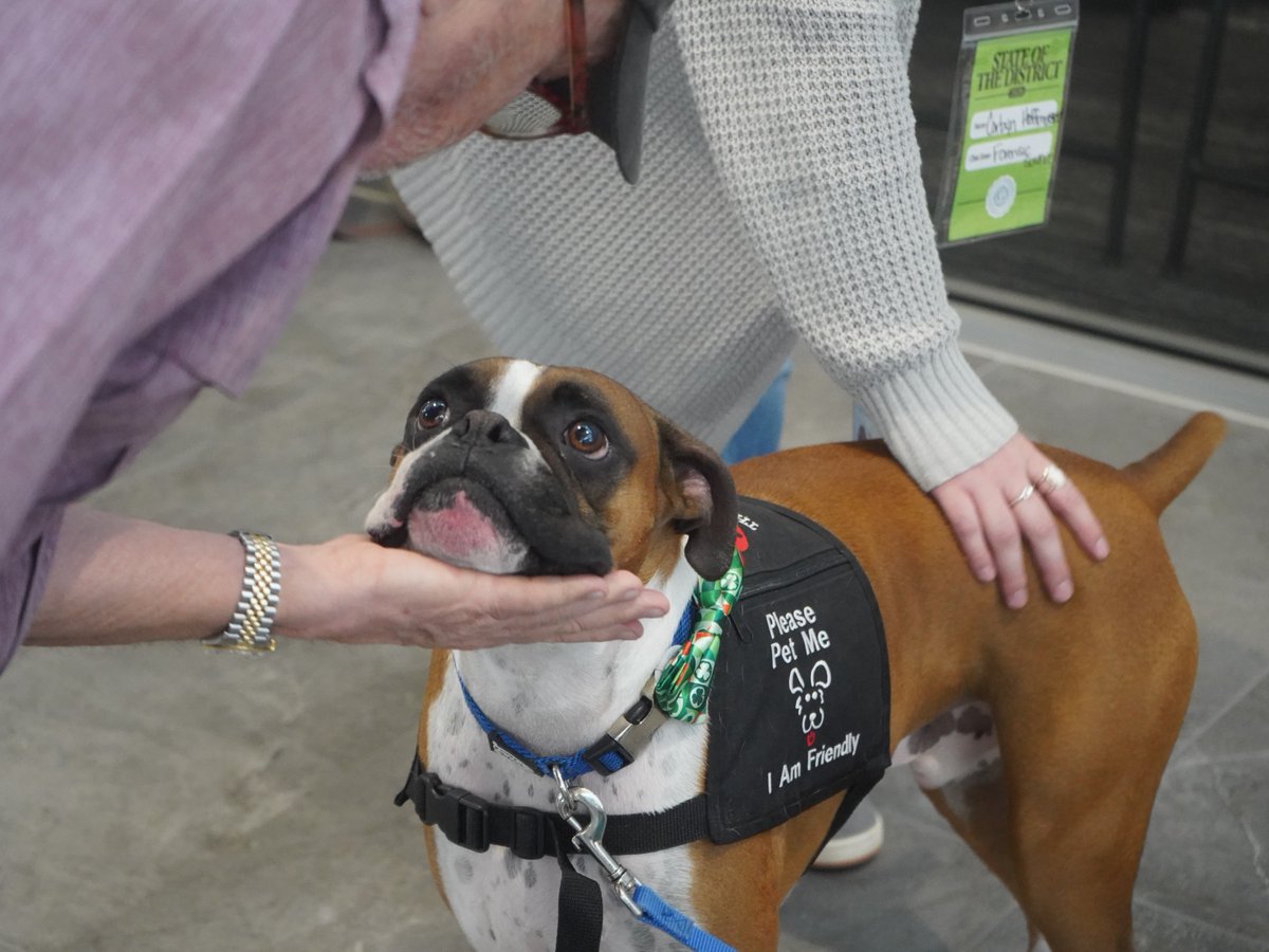 Georgetown ISD tweet media