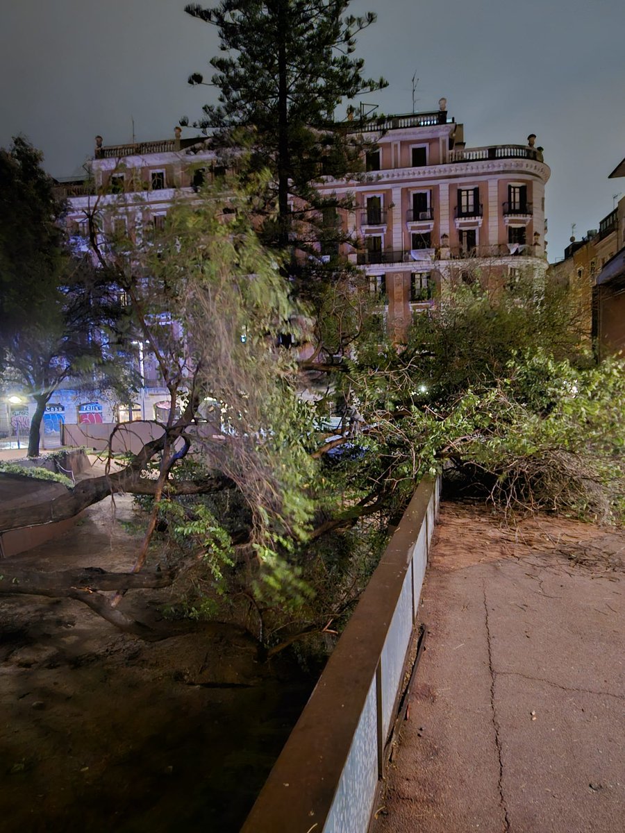 XARXA VEÏNAL GÒTIC tweet media