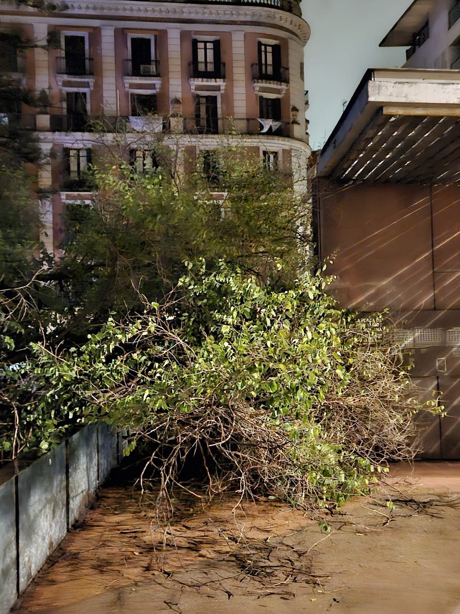 XARXA VEÏNAL GÒTIC tweet media