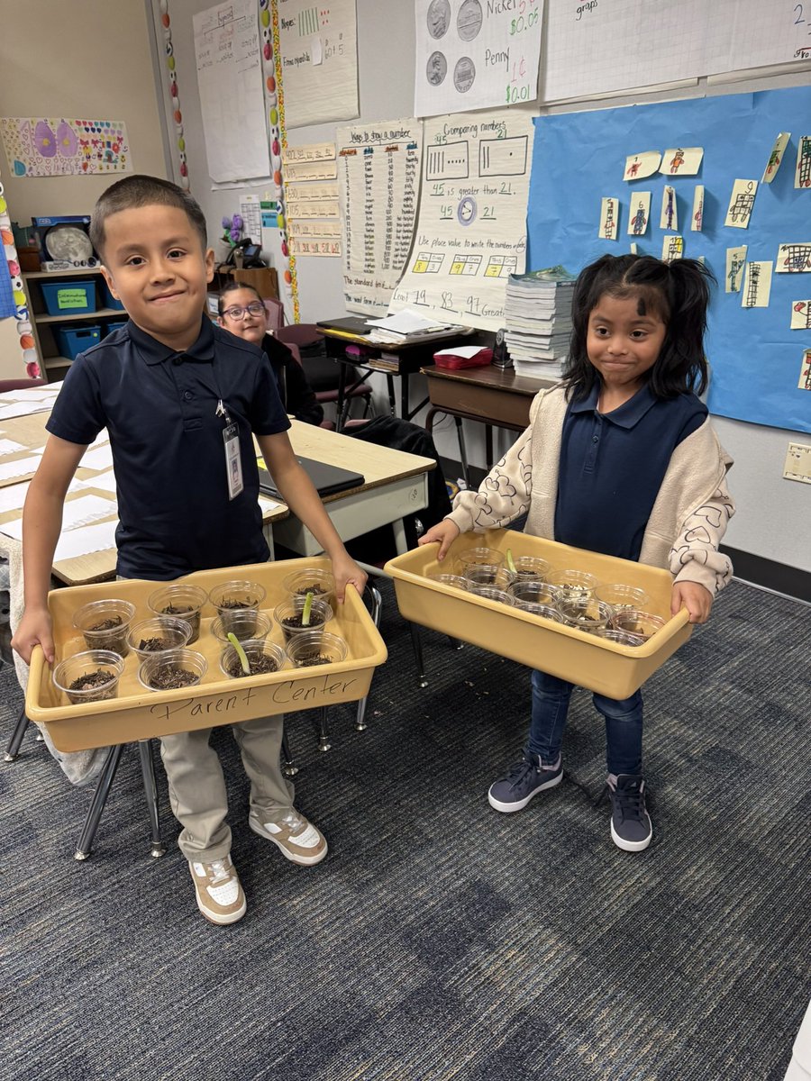 Collins Elementary tweet media