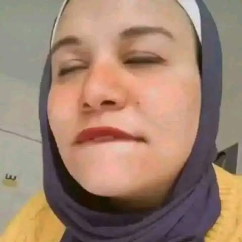 nora yousif tweet media